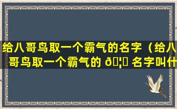 给八哥鸟取一个霸气的名字（给八哥鸟取一个霸气的 🦍 名字叫什么）